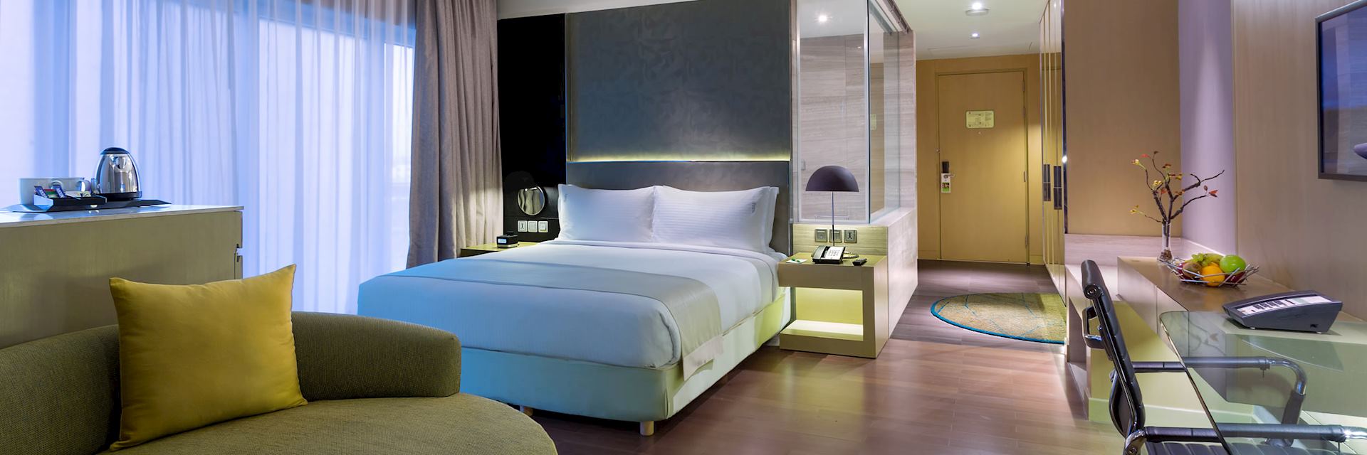 Holiday Inn Aerocity