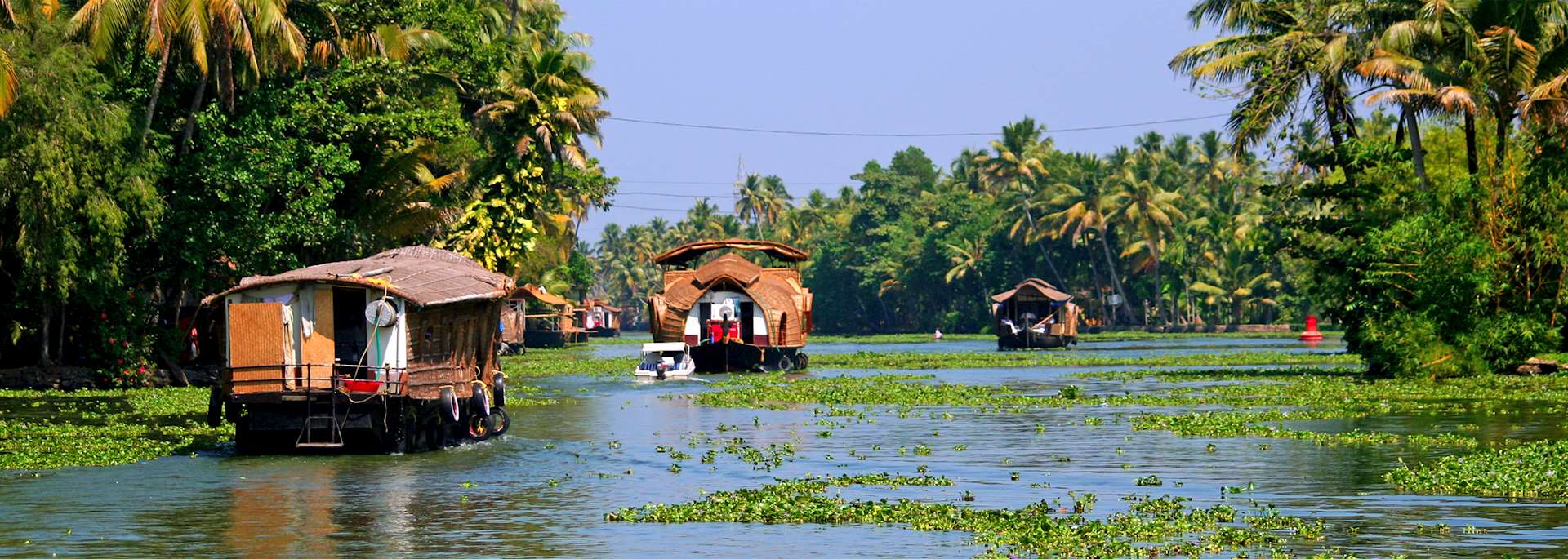 Kerala backwaters, India