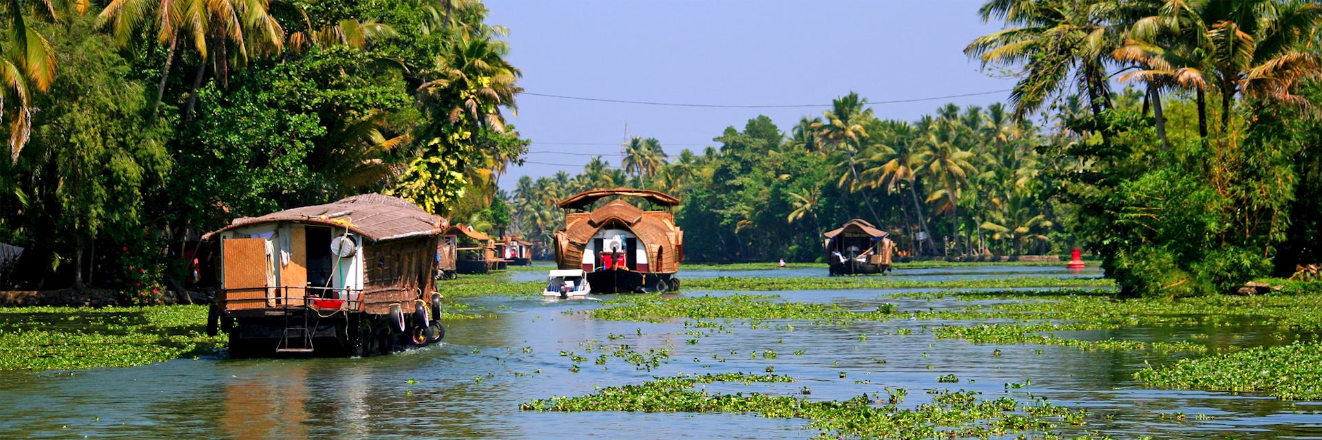 Kerala backwaters, India