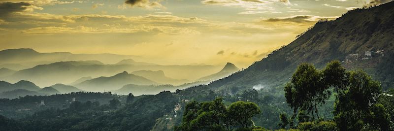 The mountains of Kerala