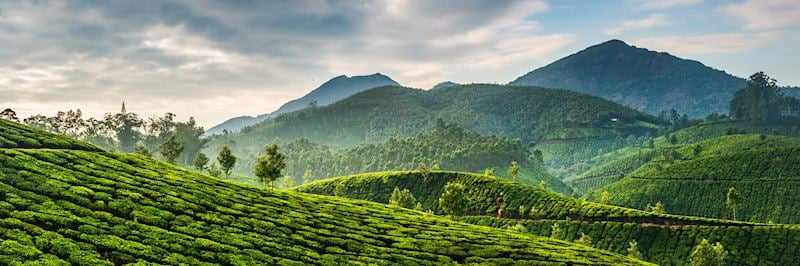 Munnar