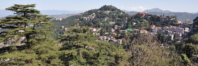 View from the Toy Train in Shimla