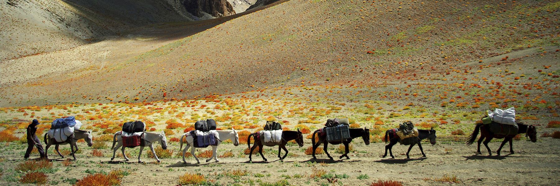 India vacations