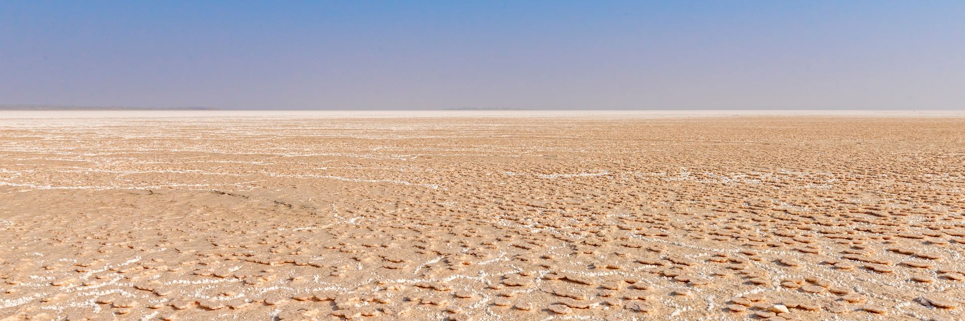 Little Rann of Kutch