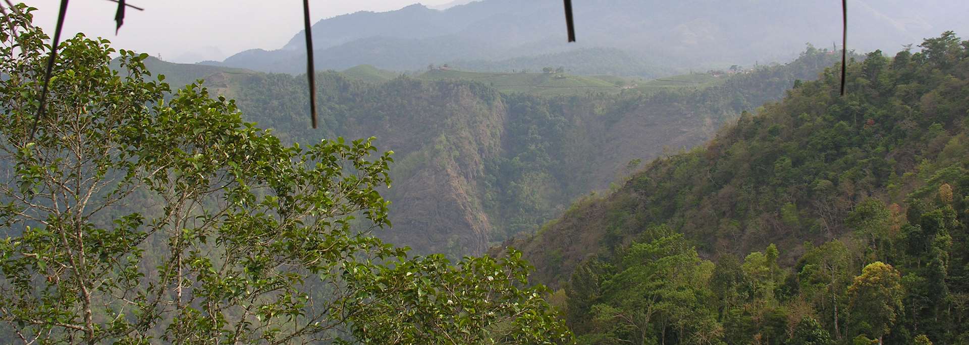 Wayanad