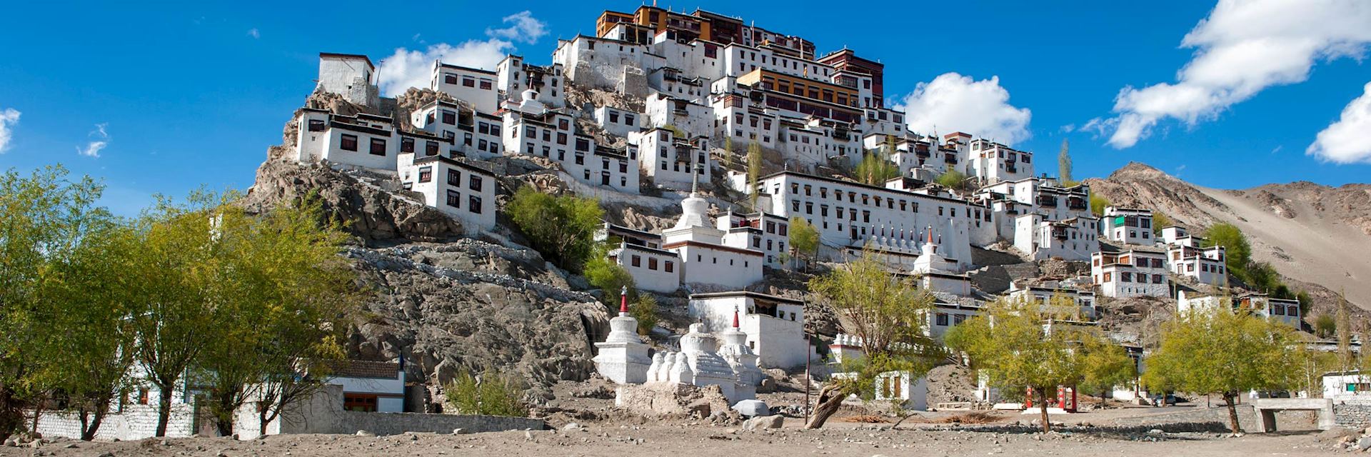 Thiske Monastery, Leh