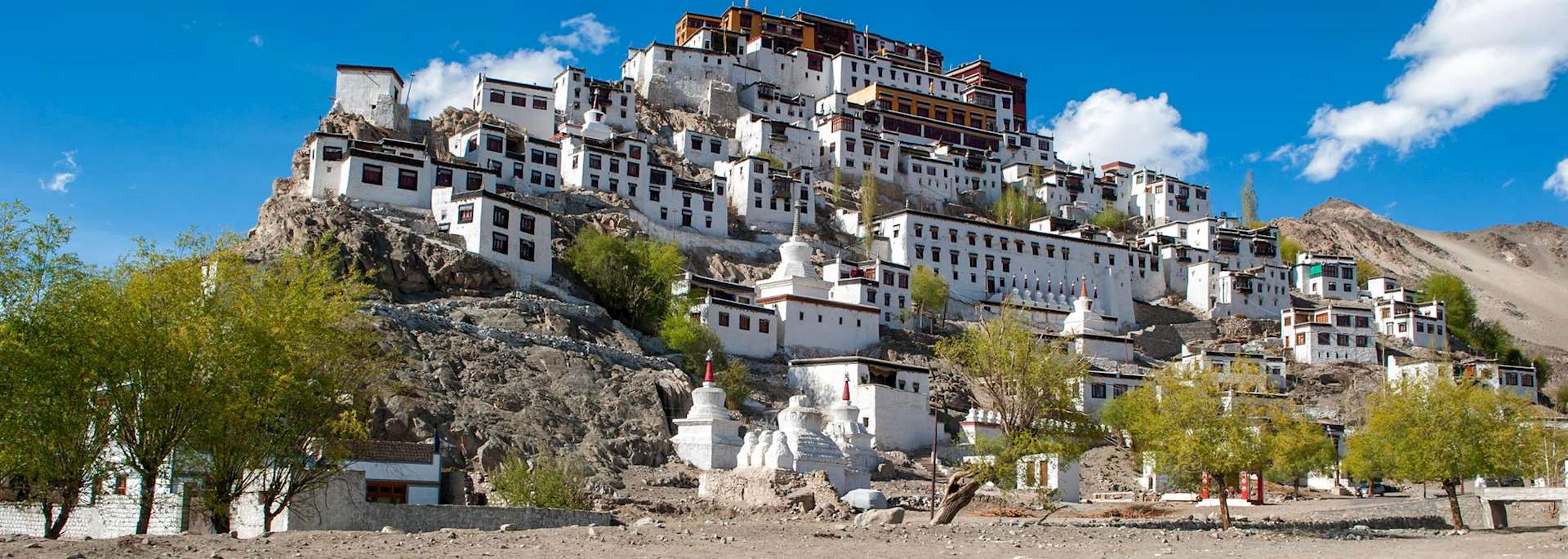 Thiske Monastery, Leh
