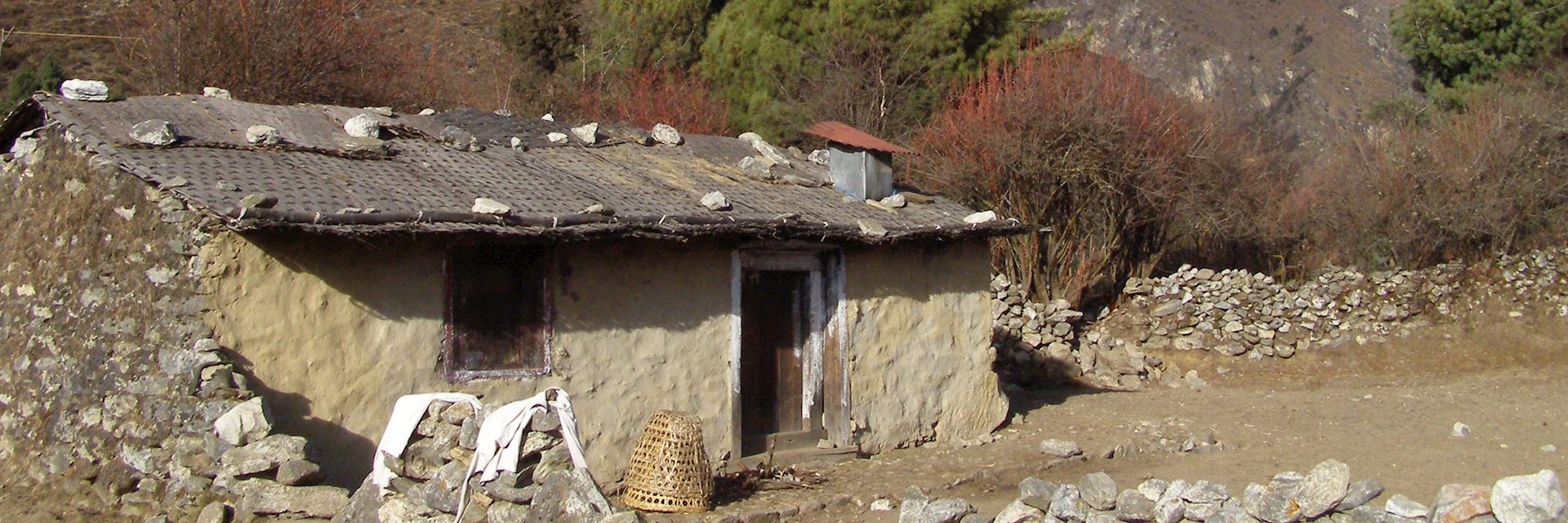 Tashinga