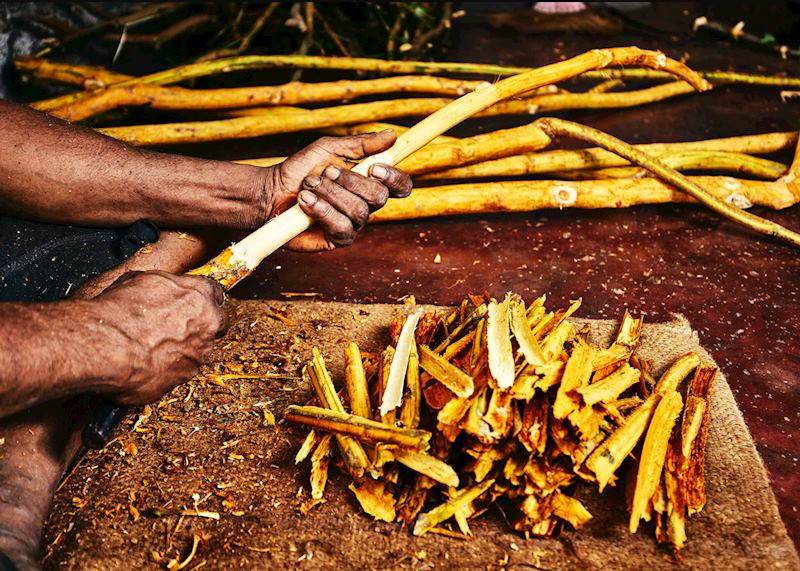 Cinnamon sticks being prepared