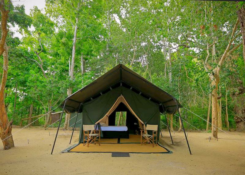 Leopard Trails, Wilpattu National Park