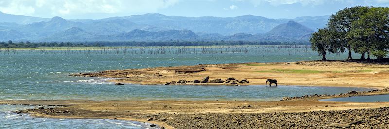 Uda Walawe National Park