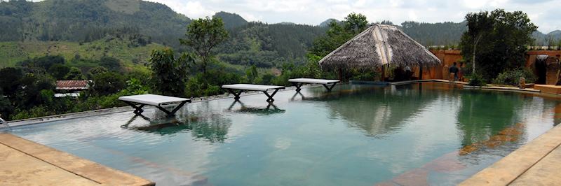 Rainforest Edge, Sinharaja Biosphere