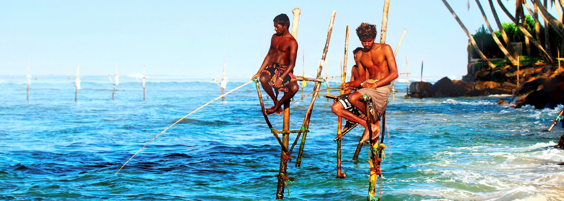 Stilt fishermen in Galle