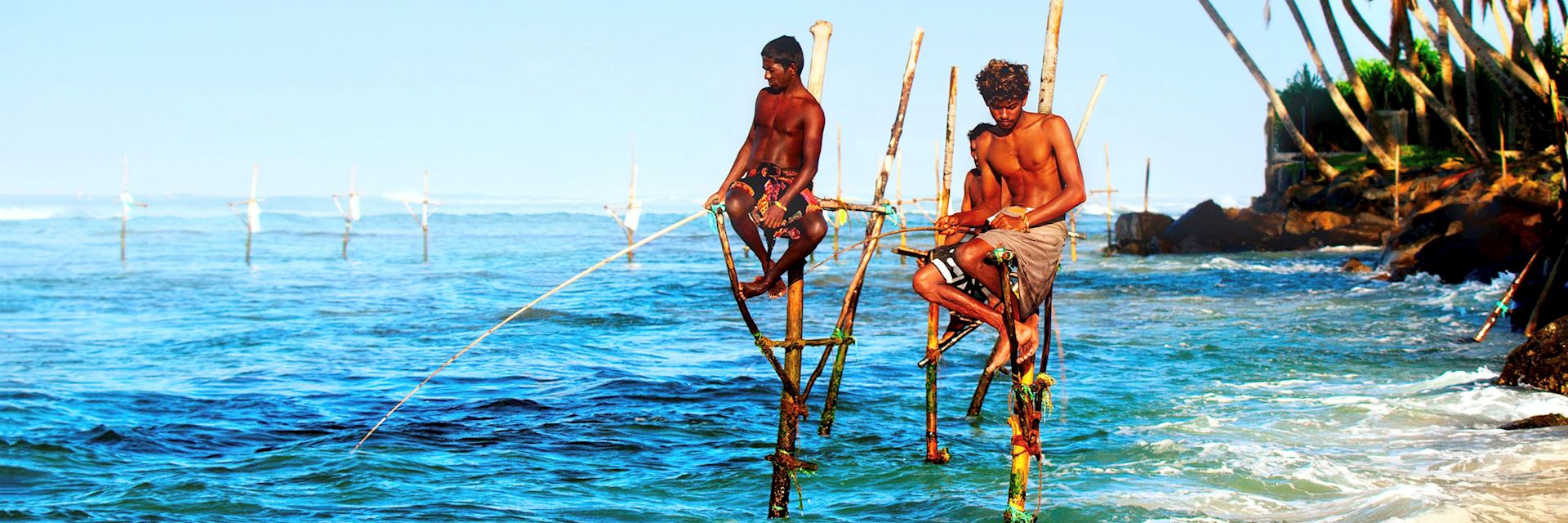Stilt fishermen in Galle