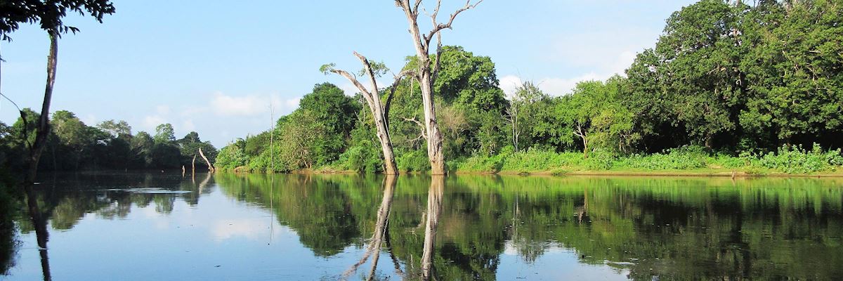 Visit Uda Walawe National Park, Sri Lanka | Audley Travel