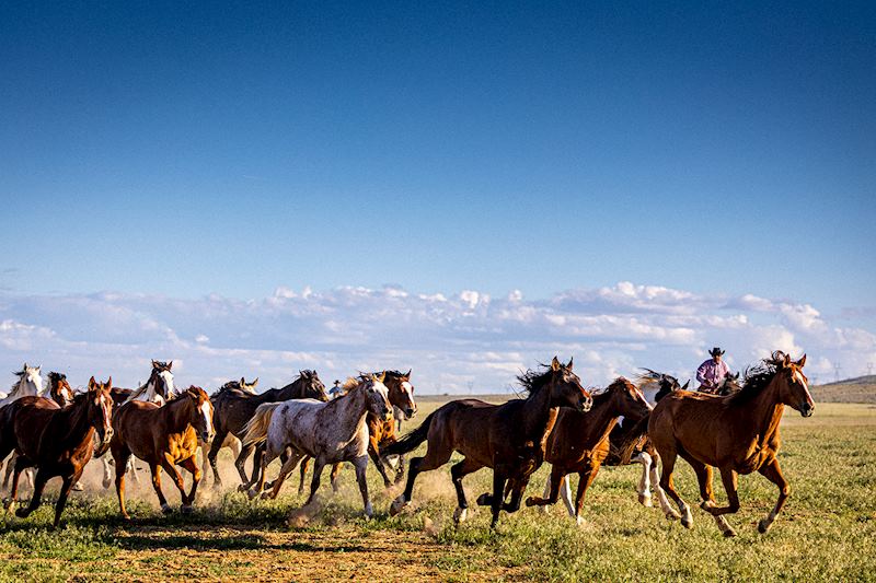 Stay at a ranch in the Rockies, The USA