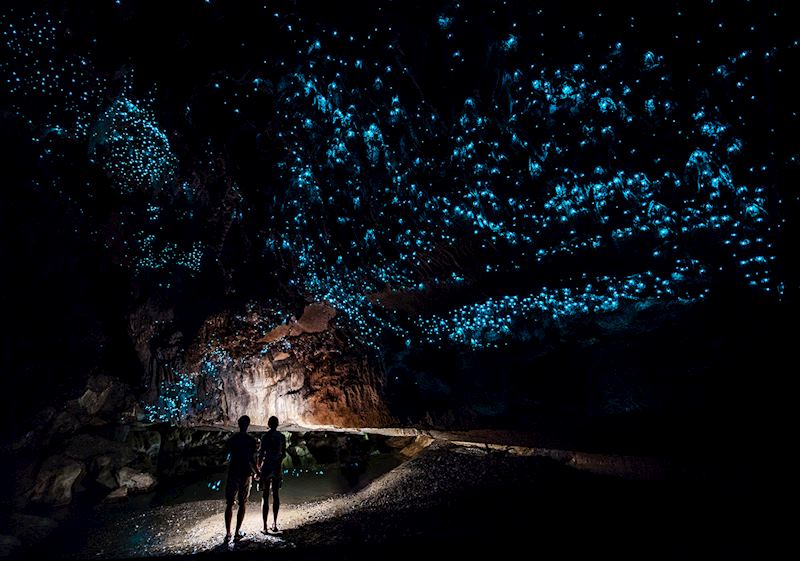Glow-worm caves, Waipu Cave, New Zealand
