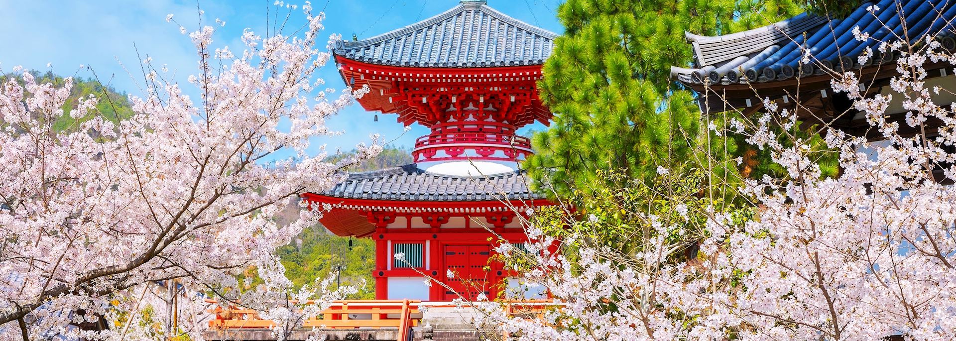 Daikakuji Temple, Kyoto, Japan