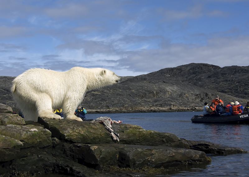 Zodiac cruise in the Arctic