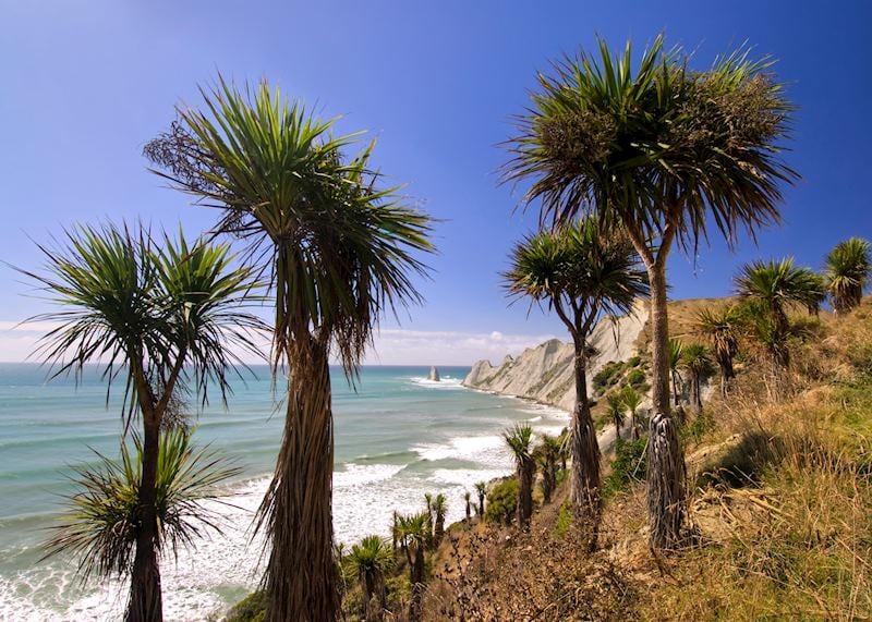 Cape Kidnappers, New Zealand