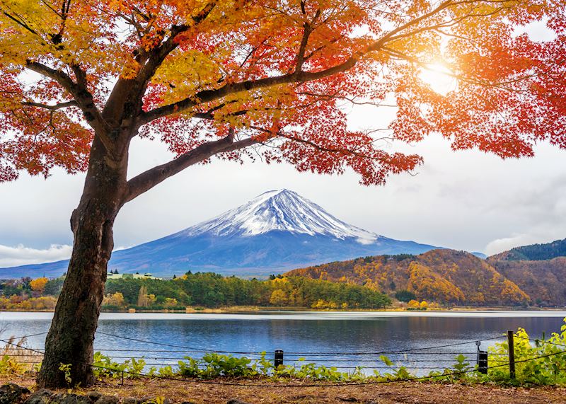 Mount Fuji, Japan