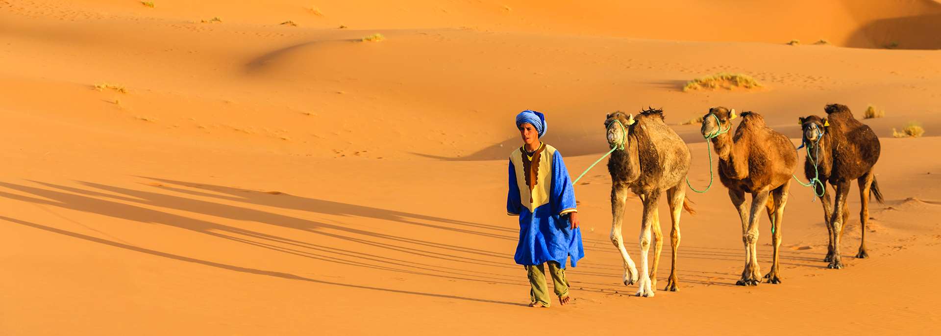 Berber caravan