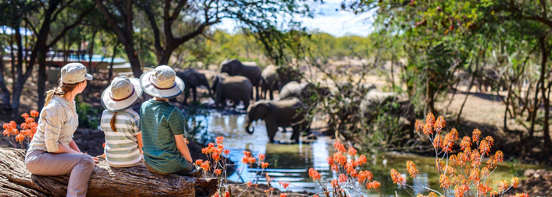 Family on an African safari