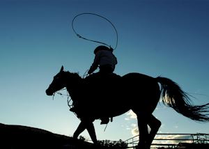 Cowboy in Calgary