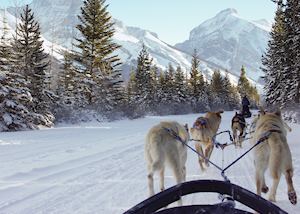 Dog-sledding, Canada