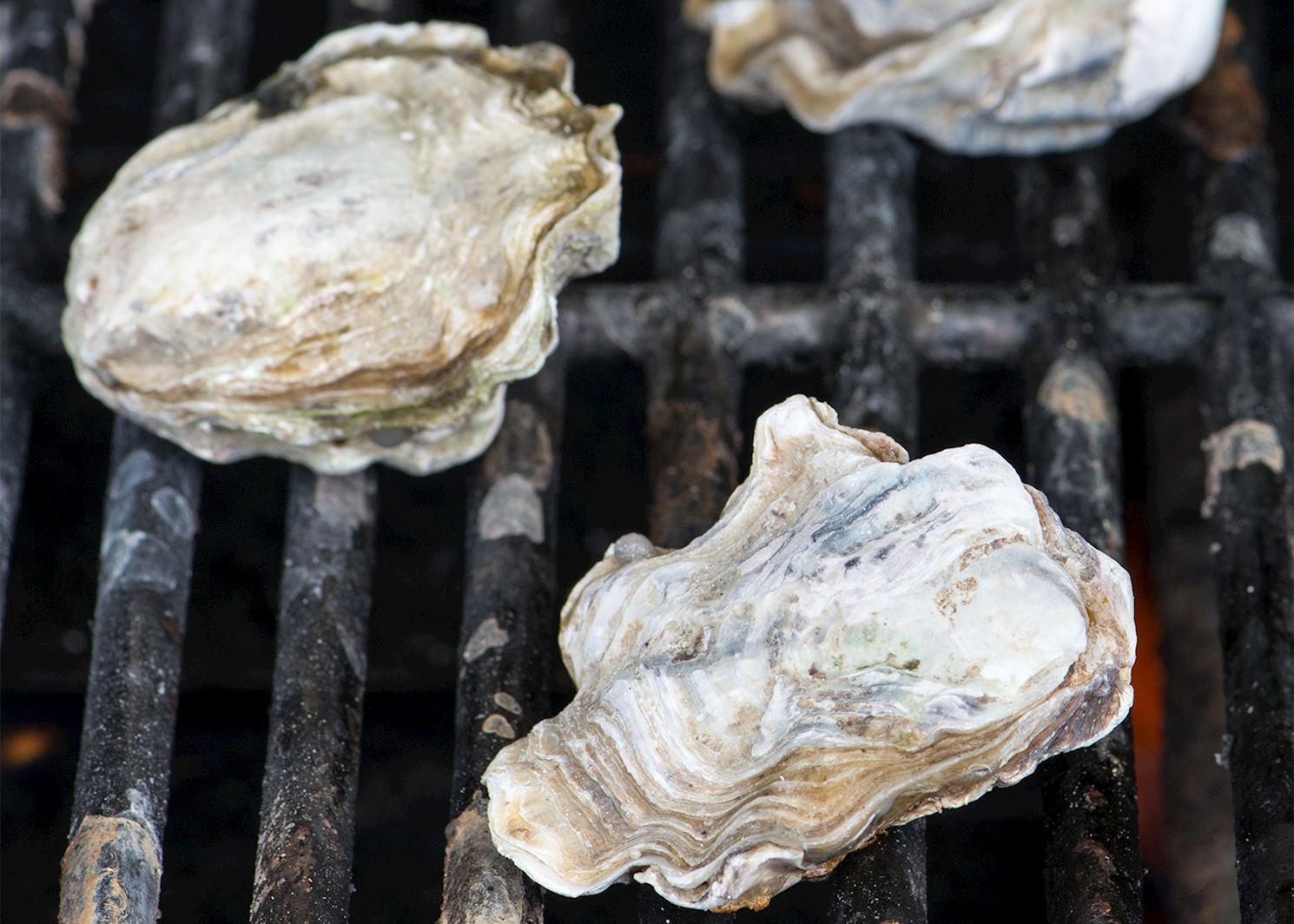 Festivals & Events Around the World in April Audley Travel UK