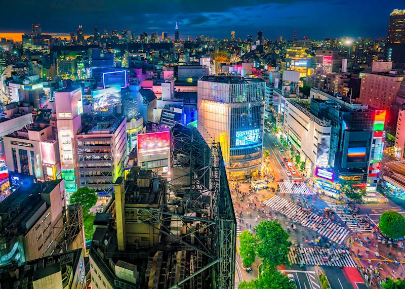 Shibuya Crossing, Tokyo