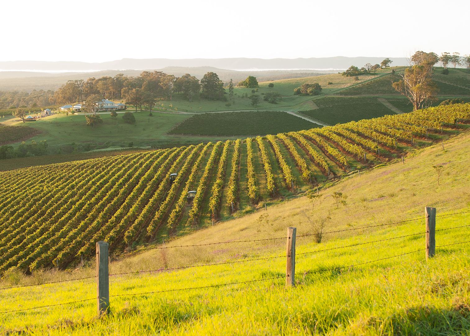 Australia Holidays 2024 & 2025 TailorMade from 香港六合彩开奖记录 UK