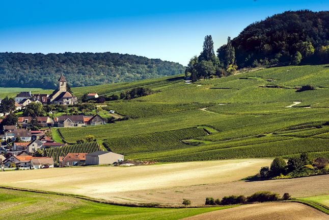 Champagne region, France Champagne region, France