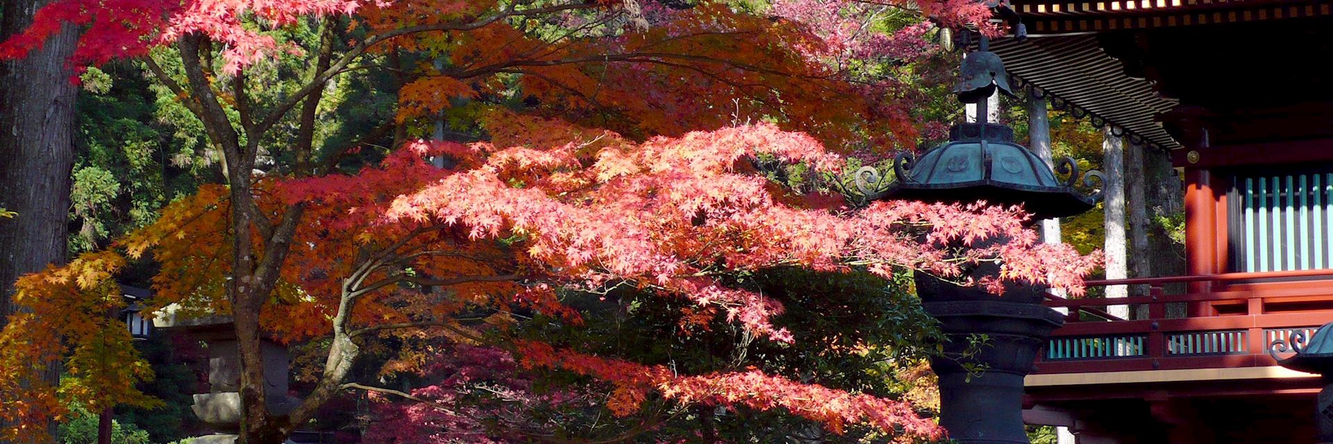 Autumn leaves in Nikko, Japan