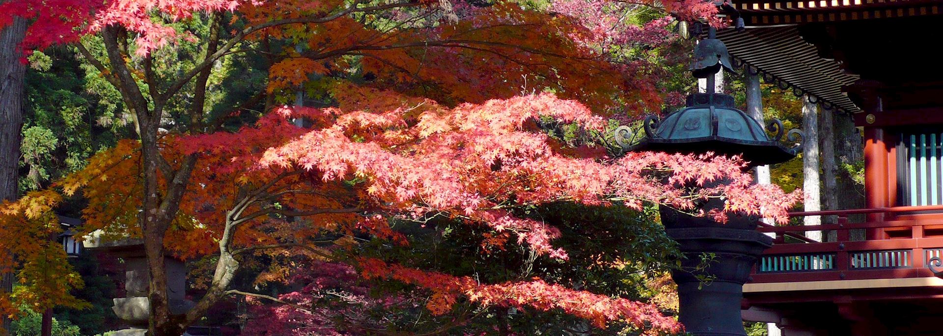 Autumn leaves in Nikko, Japan