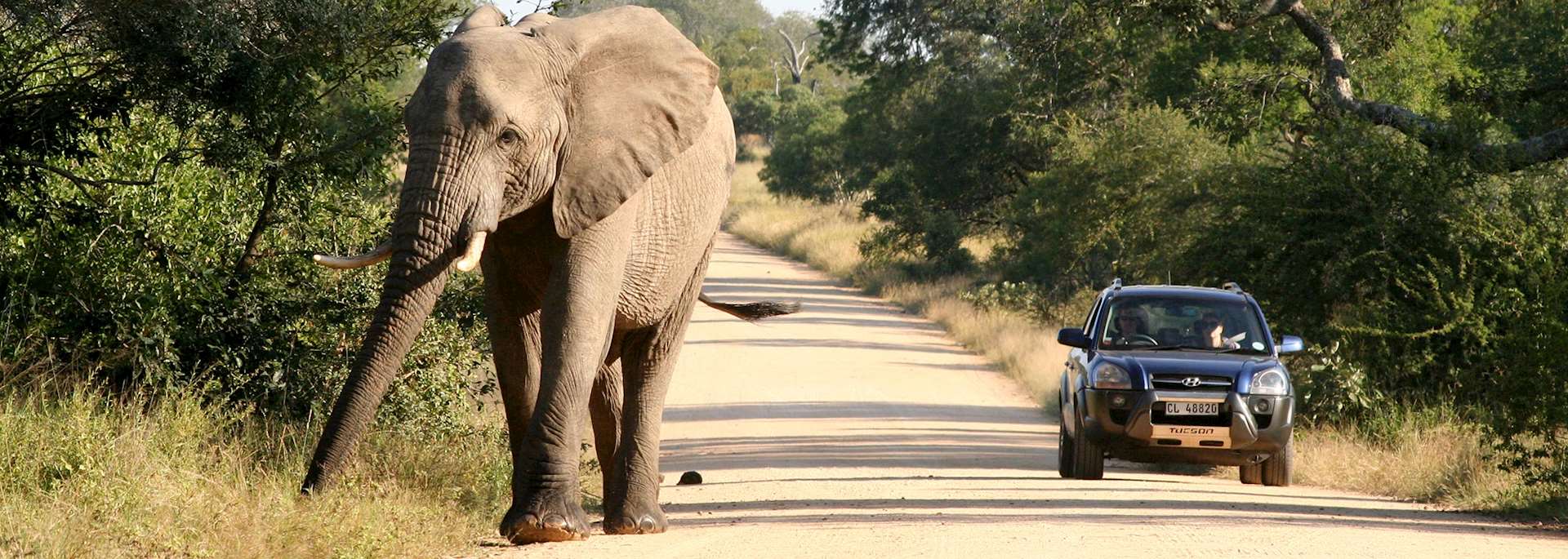 Self-driving in Kruger National Park, South Africa