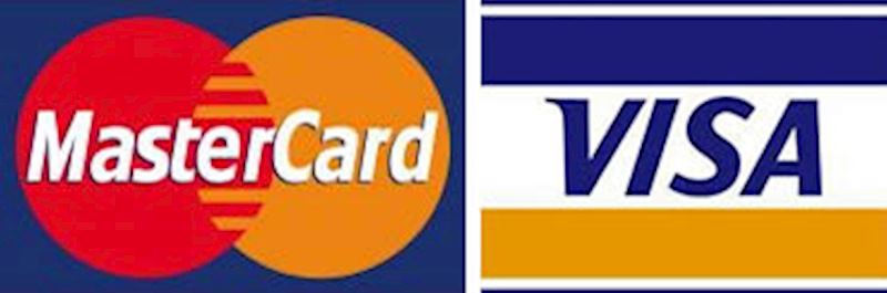 Mastercard and visa
