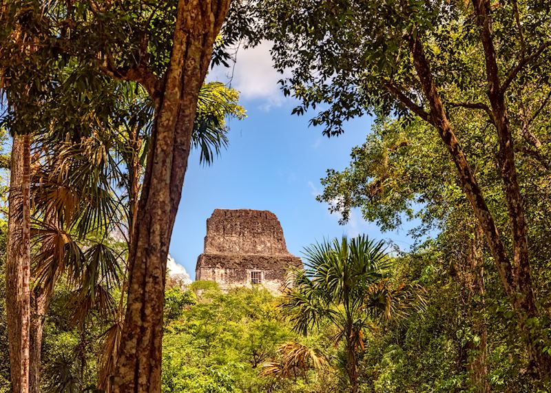 Temple IV in Tikal