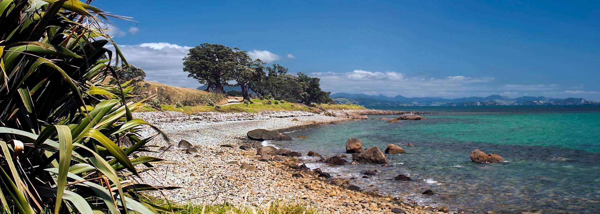 Thames-Coromandel Peninsula, New Zealand
