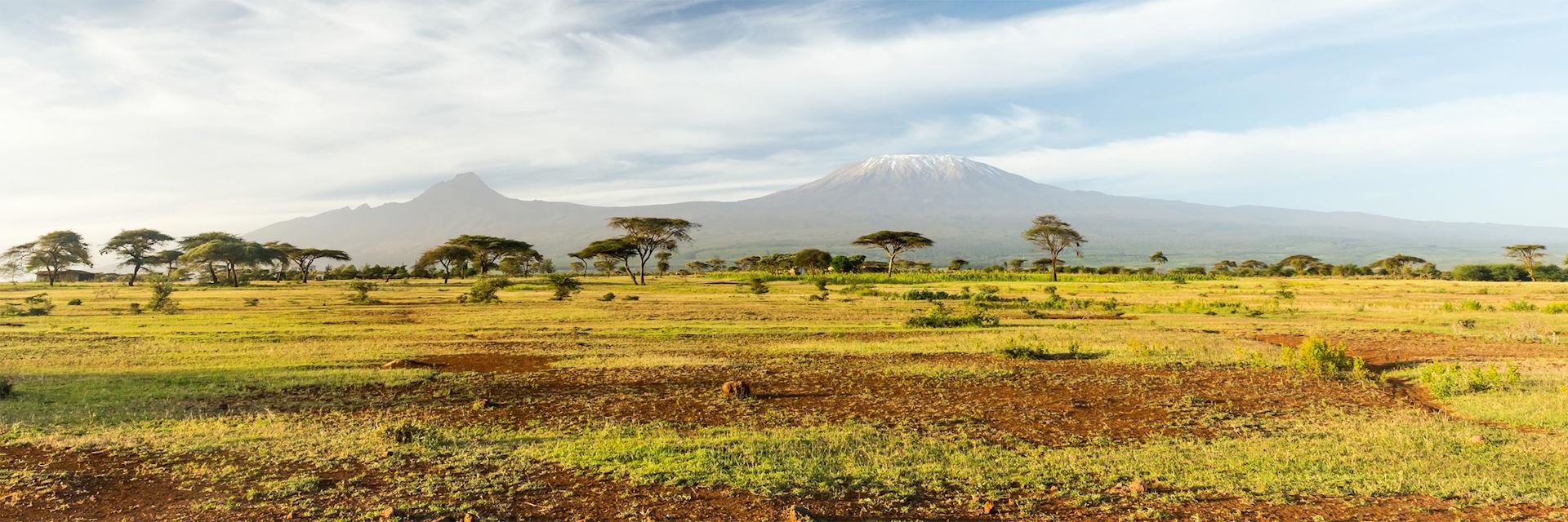 Mt Kilimanjaro