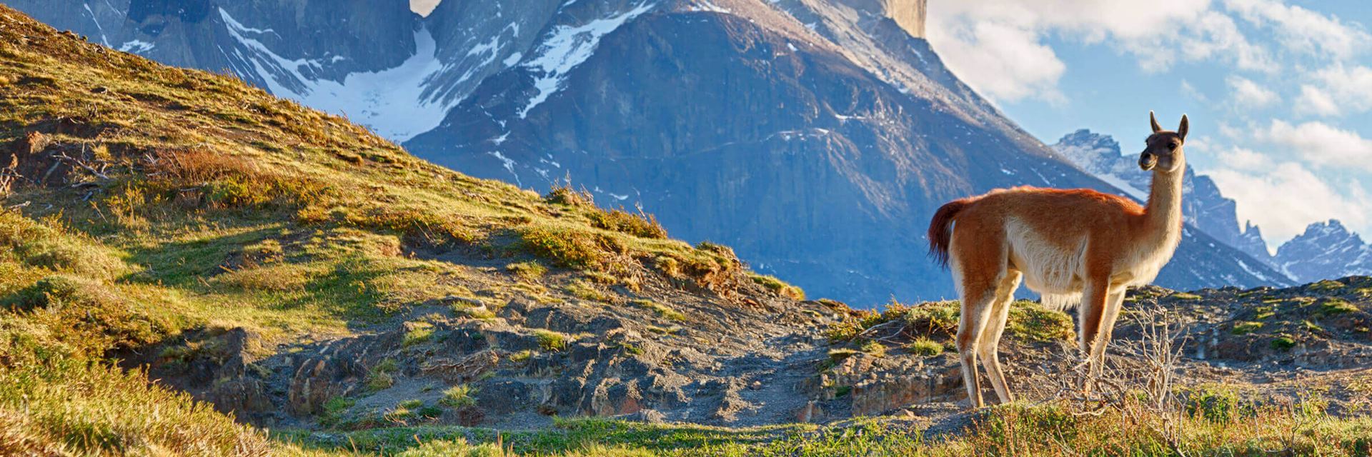 Travel Ideas in April