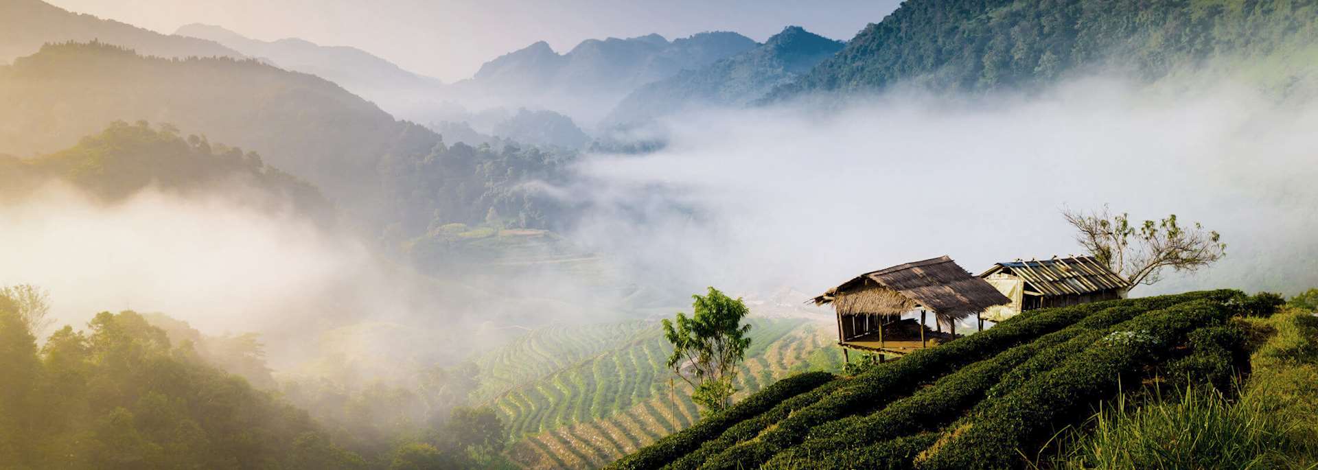 Travel Ideas in January
