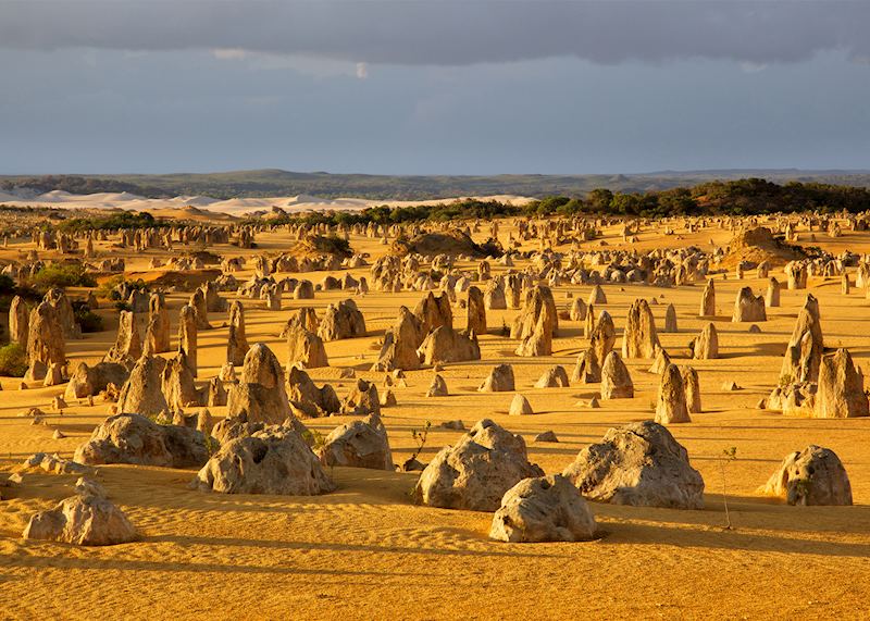 Nambung National Park, Western Australia