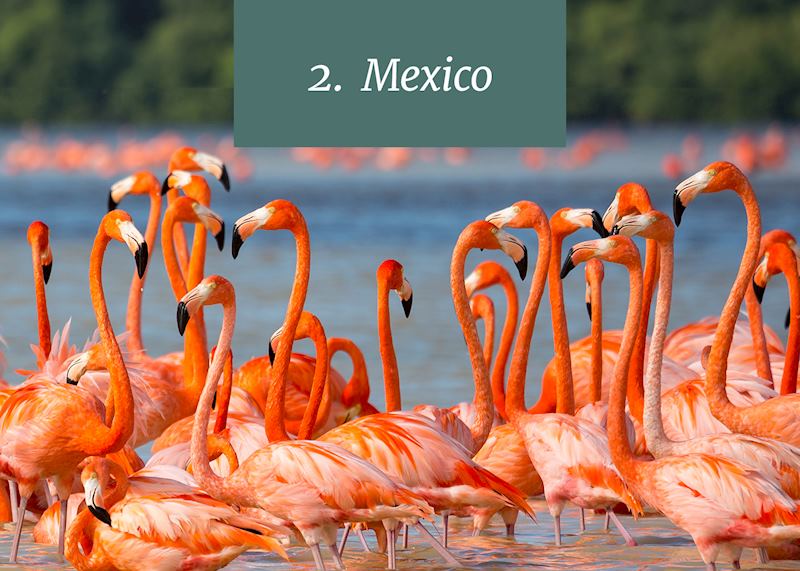 Mexico