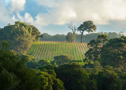 Margaret River Margaret River
