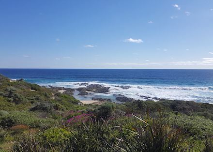 Southwest Uncovered — Wildflowers and bays, Margaret River
