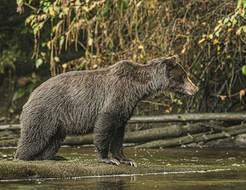 British Columbia, Canada