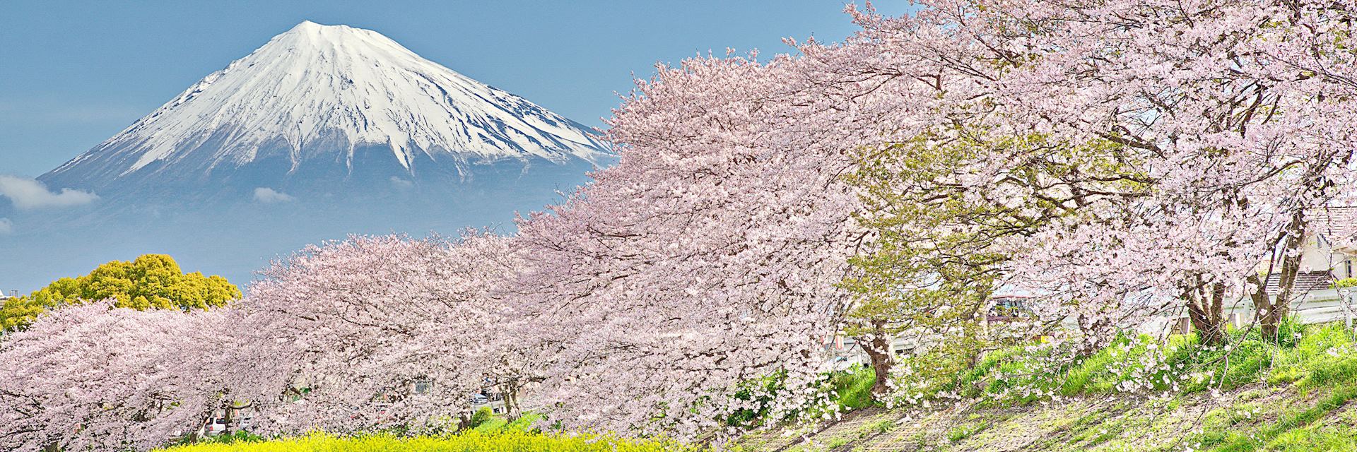 Mount Fuji, Japan