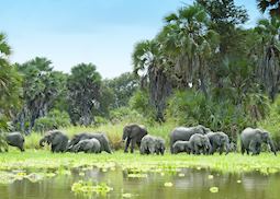 Selous Game Reserve in Tanzania