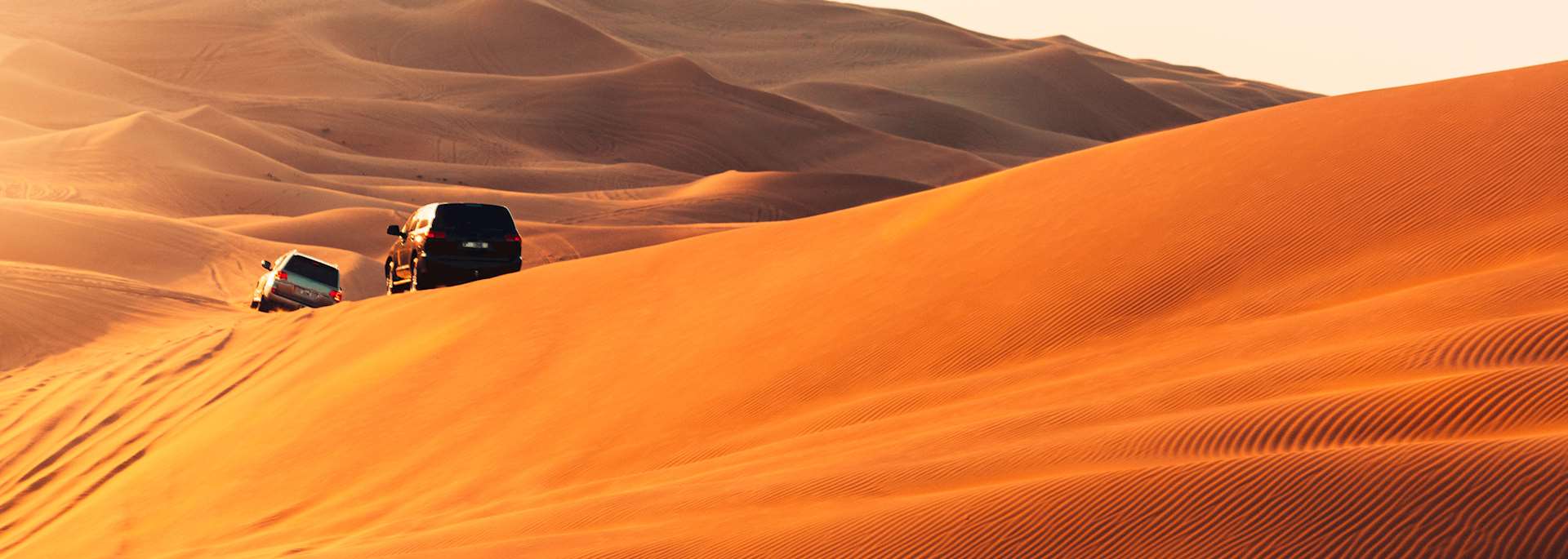Arabian Desert near Dubai, UAE